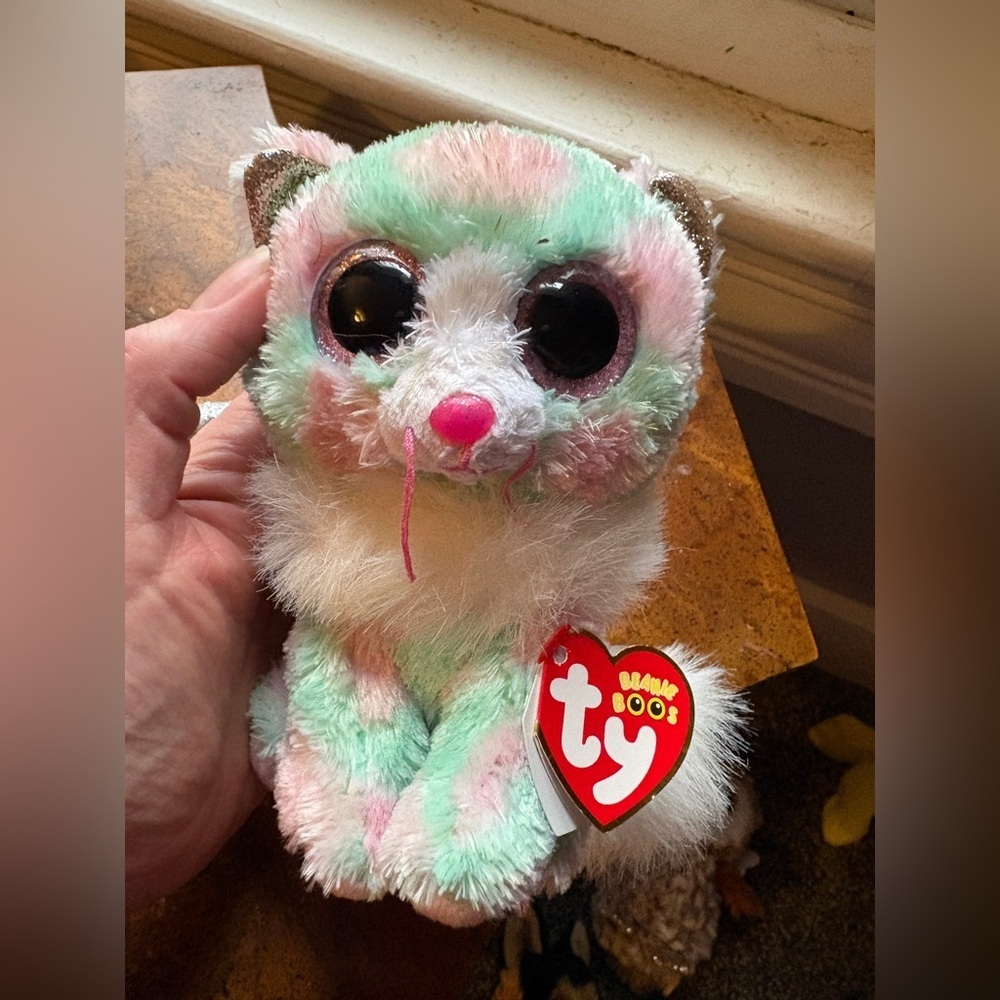 TY Beanie Boo lot of 5–Karli koala, Dreamy sloth, Opal cat, Flips dolphin plush - Picture 8 of 16